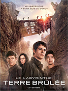 Labyrinthe : La Terre brûlée (Le)