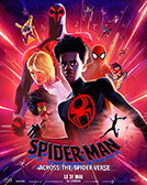 Spider-man : accross the spider-verse