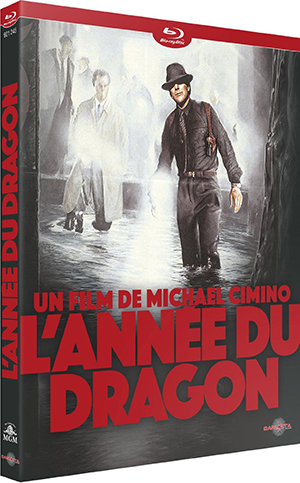 Année du dragon (L')